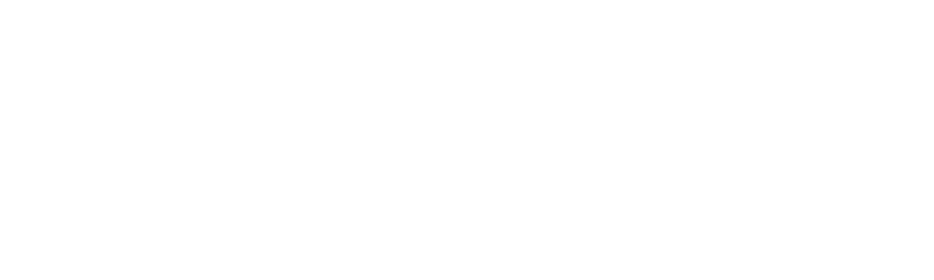 Safe Store Brasil